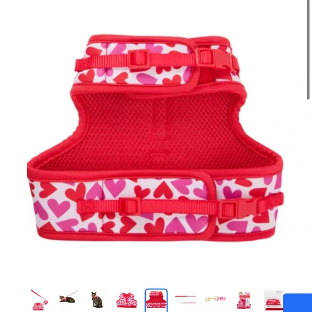 Whisker City® Cat Harness and Leash Hearts